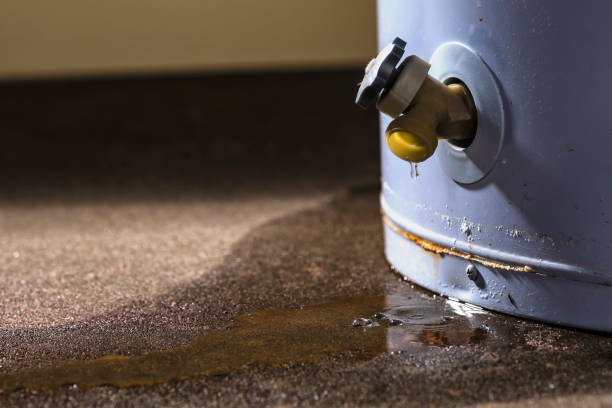 Best Ceiling water damage repair  in Mango, FL