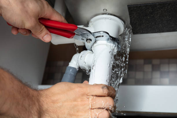 Best Water damage contractors near me  in Mango, FL