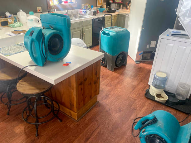 Best Water damage restoration near me  in Mango, FL