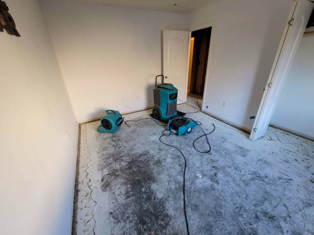Best 24-hour water damage restoration  in Mango, FL