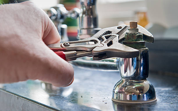 Best Local water damage restoration  in Mango, FL
