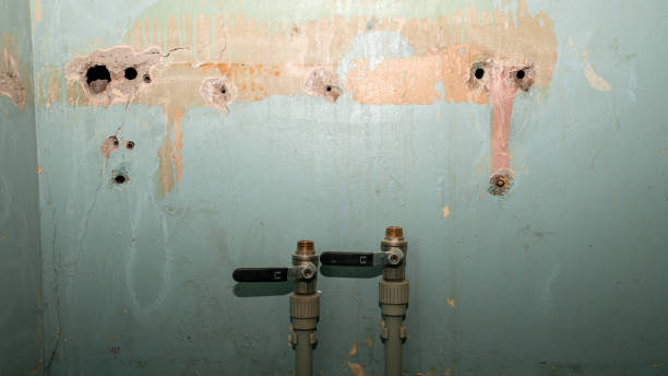 Best Flooded house restoration  in Mango, FL