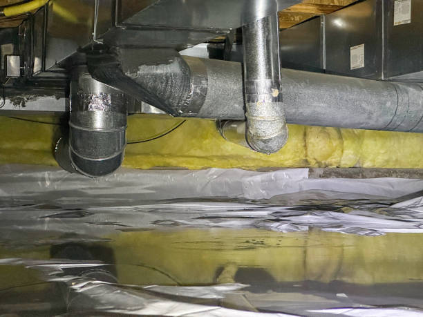 Best Water damage restoration process  in Mango, FL
