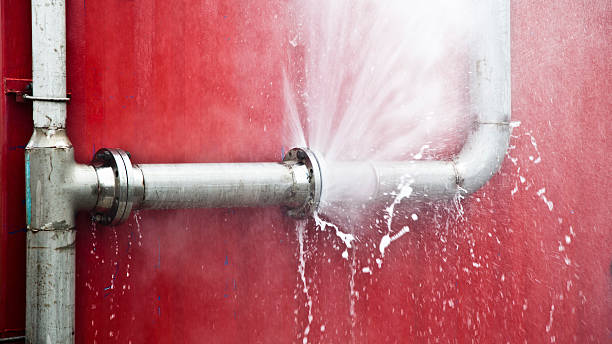 Best Flood damage cleanup  in Mango, FL